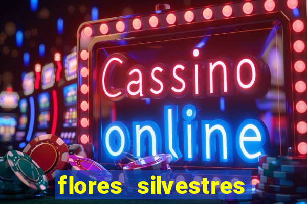 flores silvestres desbravadores desbravadores 25